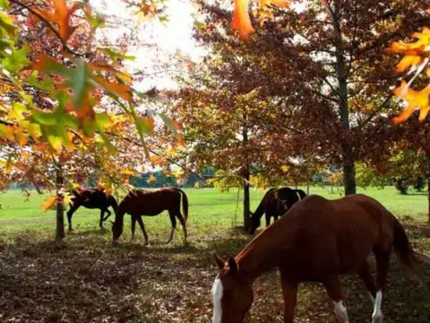 Terreno en Venta en Campana, USD 65.000