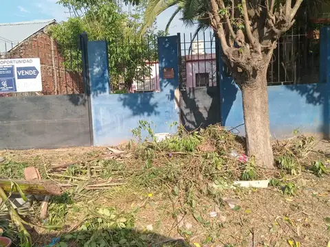 Malargue  al 1600, Merlo