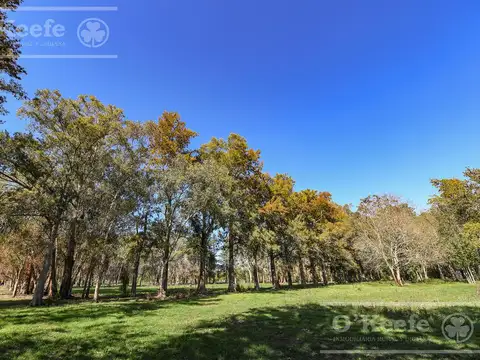 Terreno en Venta 33  mts Fondo