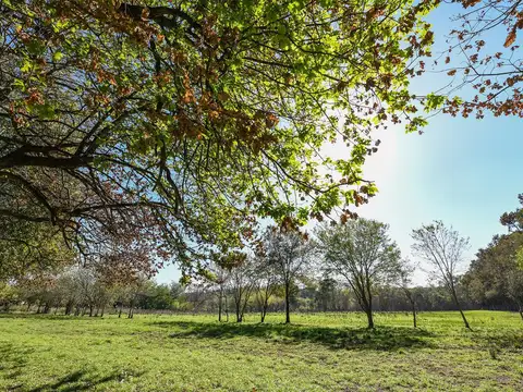 Terreno en Venta de 400,0 m2