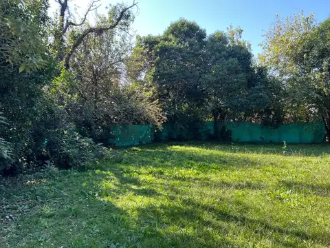 Salvador Maria del Carril 2300