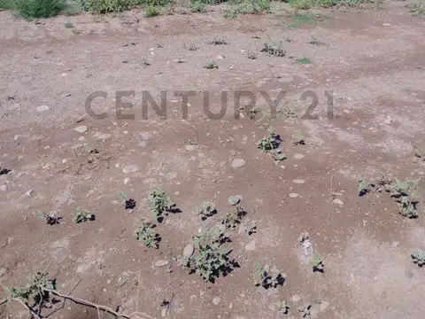 Venta de Lote en San Rafael