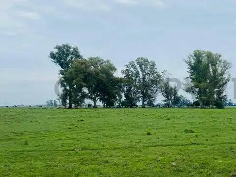 Campo en venta Magdalena, Estación Ferrari.