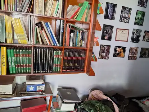 Casa multifamiliar en el centro de Valentin Alsina