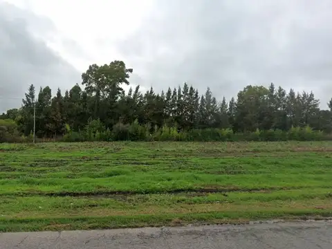 VENTA DE FRACCION DE 2 HECTAREAS SOBRE RUTA 215- CORONEL BRANDSEN