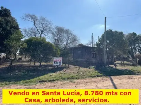 8.780 mts2 con rancho, luz, alambrado, arboleda.