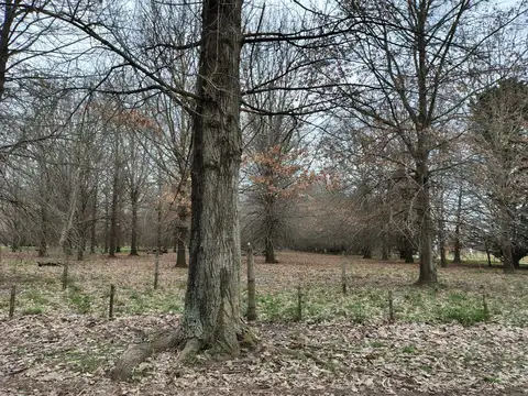 Terreno en venta en Chacras De La Alameda
