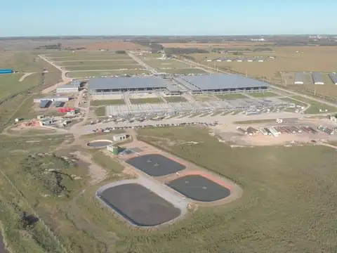 Lote Comercial En Mercado Agroganadero - Rp6 Km 88