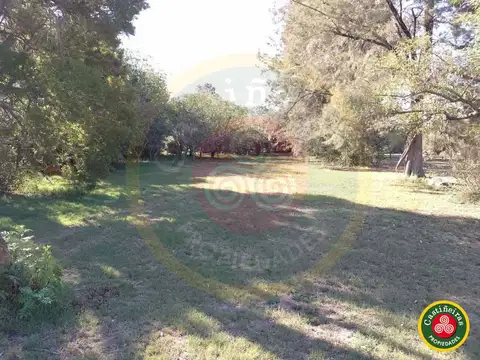 Terreno en Venta 25  mts Frente