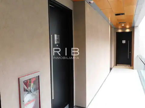 Officia Life - Camaño y Panam