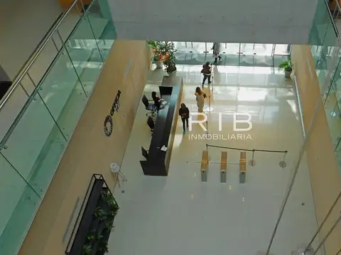 Oficina en Alquiler 3 años