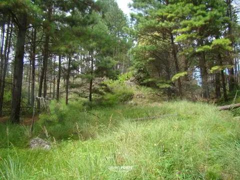 Vendo lote con escritura- Yacanto de Calamuchita