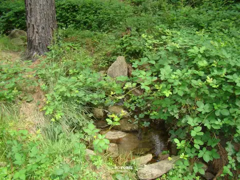 Terreno en Venta de 330000,0 m2