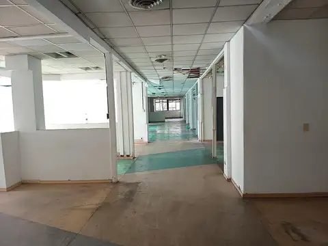 Galpon en Alquiler 51  mts Fondo