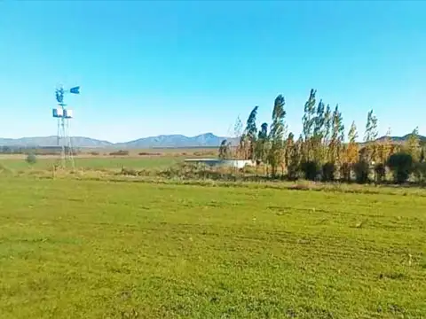Campo próximo a Sierra de la Ventana en Cnel Pringles