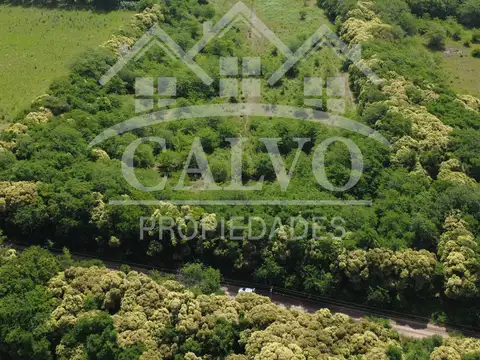 Fracción 4ha. Proximidad Ruta 5. Mercedes, Buenos Aires.