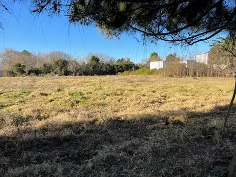 Terreno en Venta 81  mts Fondo