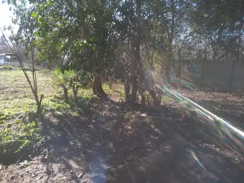 Terreno en Venta 12  mts Frente