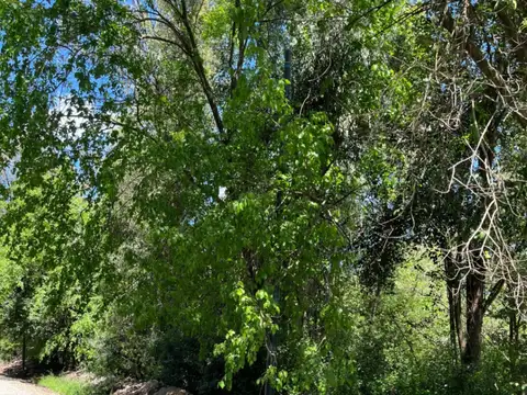 Terreno en Venta 35  mts Frente