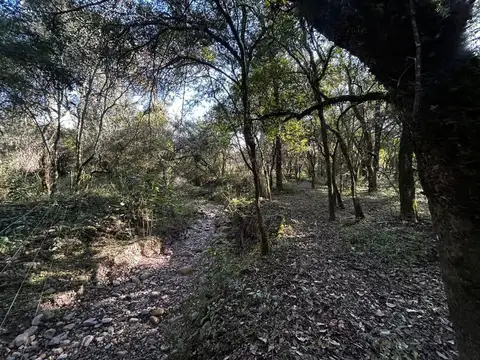 TERRENO VENTA B° POTREROS DE LA CALDERA LA CALDERA