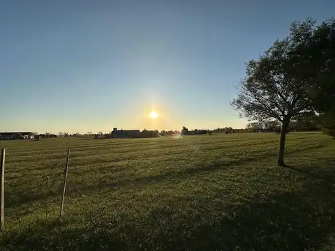 Ruta 2 km 90, lote 401