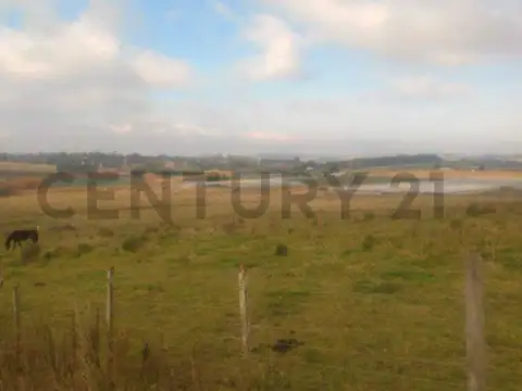 Campo en Venta de 11  ha