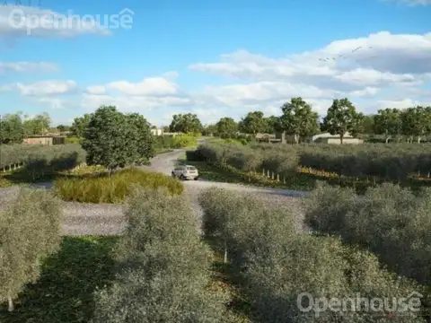 Terreno en Venta de 1819,0 m2