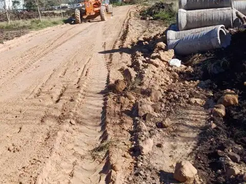 Terreno en  venta en Gorina