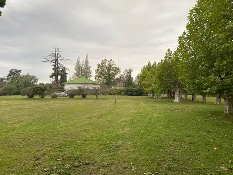 Terreno en Venta 50  mts Fondo