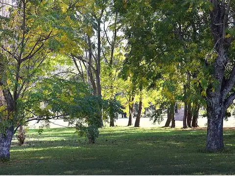 Terreno en Venta 20  mts Frente