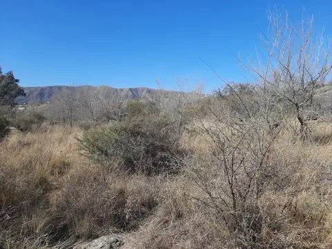 Terreno en Venta 46  mts Frente