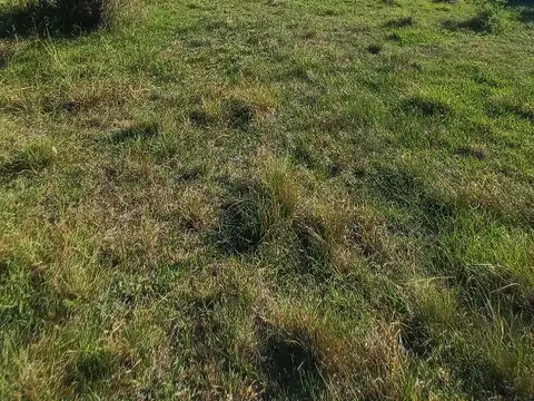 Campo en Venta Mixto