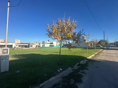 Colectora mza 75 lote 42