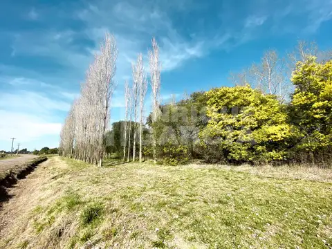 VENTA DE CHACRA DE 3,83 HAS EN BENQUERENCA FARM CLUB