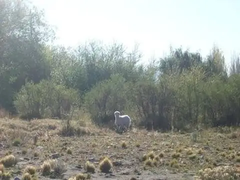 Los Antiguos, Santa Cruz