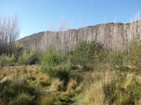 Terreno en Venta en Los Antiguos, USD 100.000